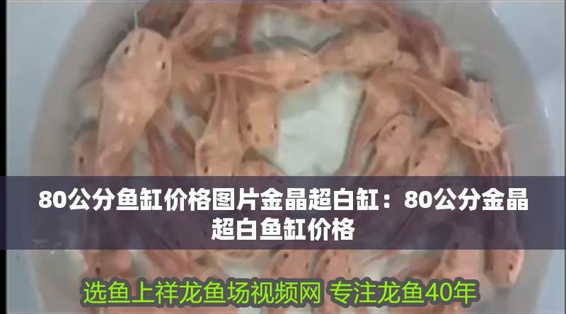 80公分魚缸價格圖片金晶超白缸：80公分金晶超白魚缸價格