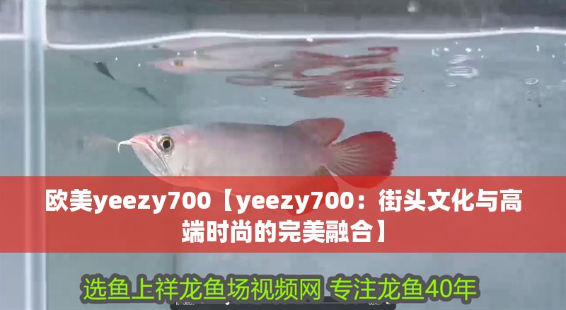 歐美yeezy700【yeezy700：街頭文化與高端時尚的完美融合】