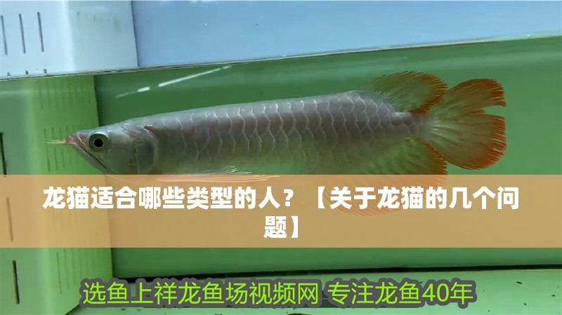 魚缸過濾器選購指南:自制魚缸過濾器魚缸上置過濾器對于養(yǎng)魚愛好者的必備知識 龍貓適合哪些類型的人?【關于龍貓的幾個問題】 龍魚論壇 龍貓適合哪些類型的人?【關于龍貓的幾個問題】 龍貓適合哪些類型的人?【關于龍貓的幾個問題】 龍魚論壇