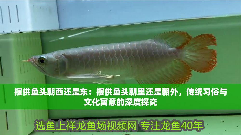 擺供魚頭朝西還是東：擺供魚頭朝里還是朝外，傳統習俗與文化寓意的深度探究