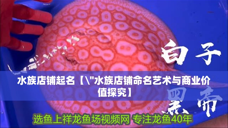 水族店鋪起名【\
