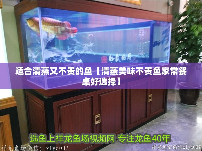 適合清蒸又不貴的魚【清蒸美味不貴魚家常餐桌好選擇】