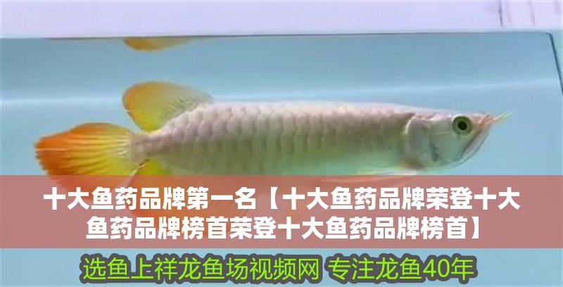 十大魚藥品牌第一名【十大魚藥品牌榮登十大魚藥品牌榜首榮登十大魚藥品牌榜首】