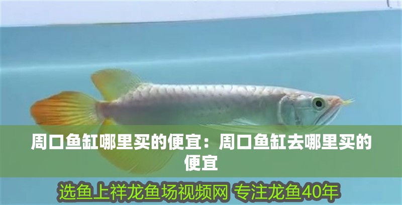 周口魚缸哪里買的便宜：周口魚缸去哪里買的便宜