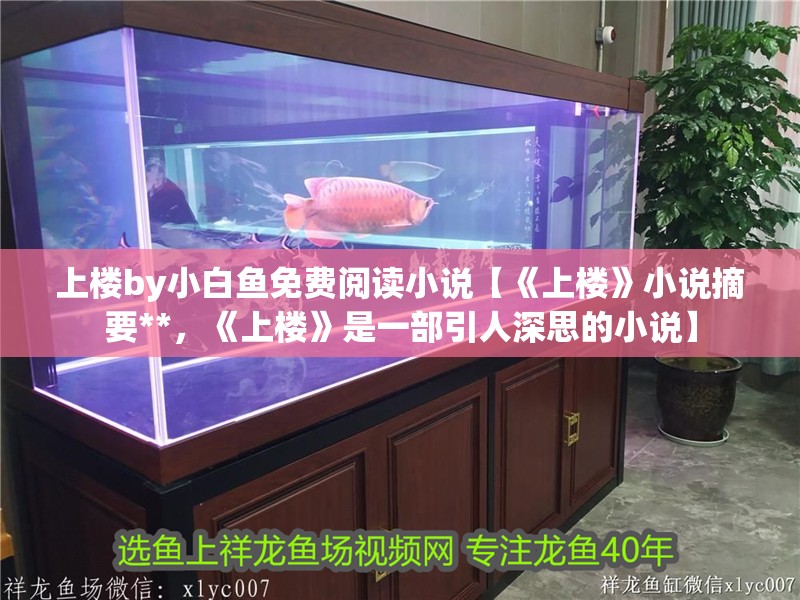 魚缸用增氧泵價(jià)格是多少:魚缸增氧機(jī)-xtrac增氧機(jī)-xtrac增氧機(jī) 上樓by小白魚免費(fèi)閱讀小說【《上樓》小說摘要**,《上樓》是一部引人深思的小說】 龍魚論壇 上樓by小白魚免費(fèi)閱讀小說【《上樓》小說摘要**,《上樓》是一部引人深思的小說】 上樓by小白魚免費(fèi)閱讀小說【《上樓》小說摘要**,《上樓》是一部引人深思的小說】 龍魚論壇