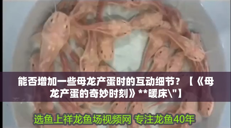鸚鵡魚和銀龍魚混養怎樣喂食 能否增加一些母龍產蛋時的互動細節?【《母龍產蛋的奇妙時刻》**暖床\ 能否增加一些母龍產蛋時的互動細節?【《母龍產蛋的奇妙時刻》**暖床 能否增加一些母龍產蛋時的互動細節?【《母龍產蛋的奇妙時刻》**暖床\