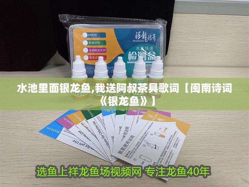 水池里面銀龍魚,我送阿叔茶具歌詞【閩南詩詞《銀龍魚》】