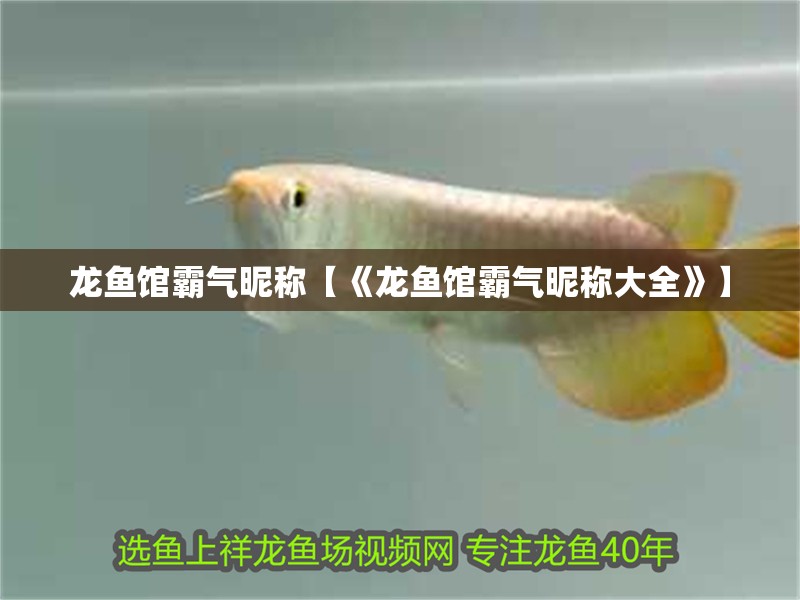 龍魚館霸氣昵稱【《龍魚館霸氣昵稱大全》】