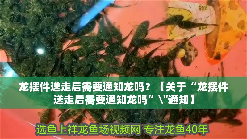 龍擺件送走后需要通知龍嗎？【關(guān)于“龍擺件送走后需要通知龍嗎”\