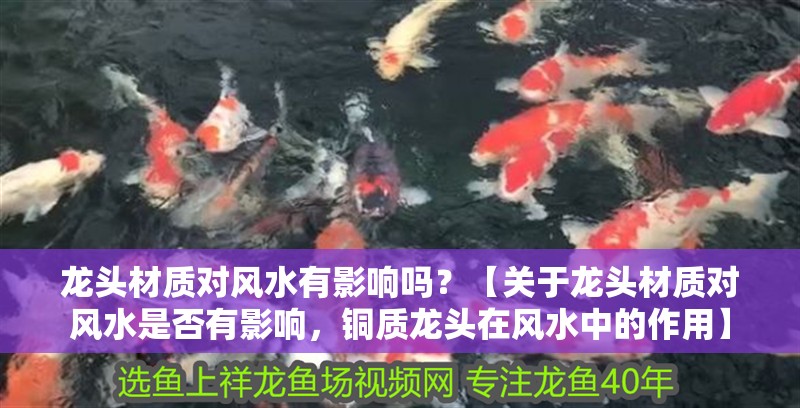 龍頭材質對風水有影響嗎？【關于龍頭材質對風水是否有影響，銅質龍頭在風水中的作用】