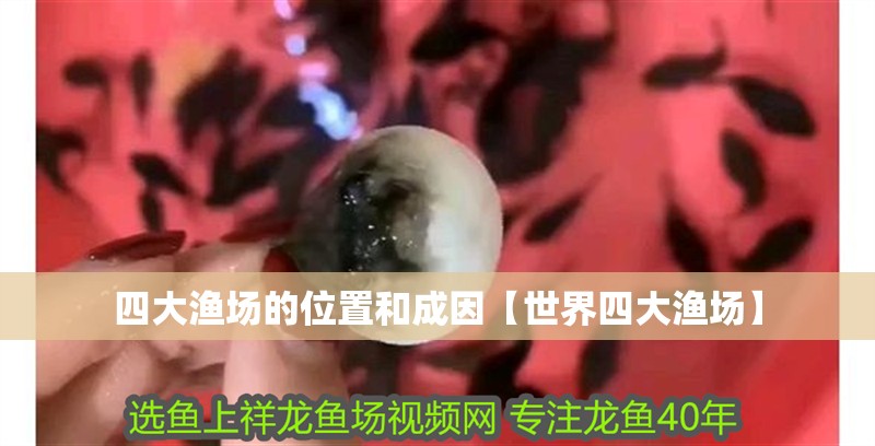 四大漁場的位置和成因【世界四大漁場】