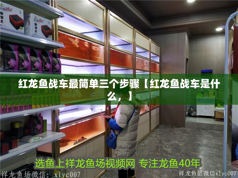 紅龍魚戰車最簡單三個步驟【紅龍魚戰車是什么，】