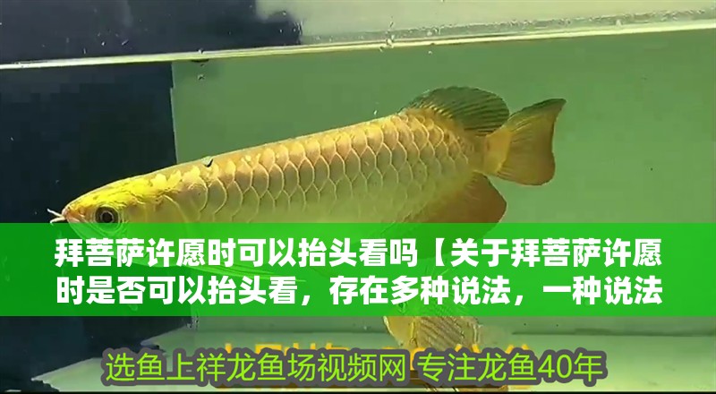 拜菩薩許愿時可以抬頭看嗎【關于拜菩薩許愿時是否可以抬頭看，存在多種說法，一種說法】