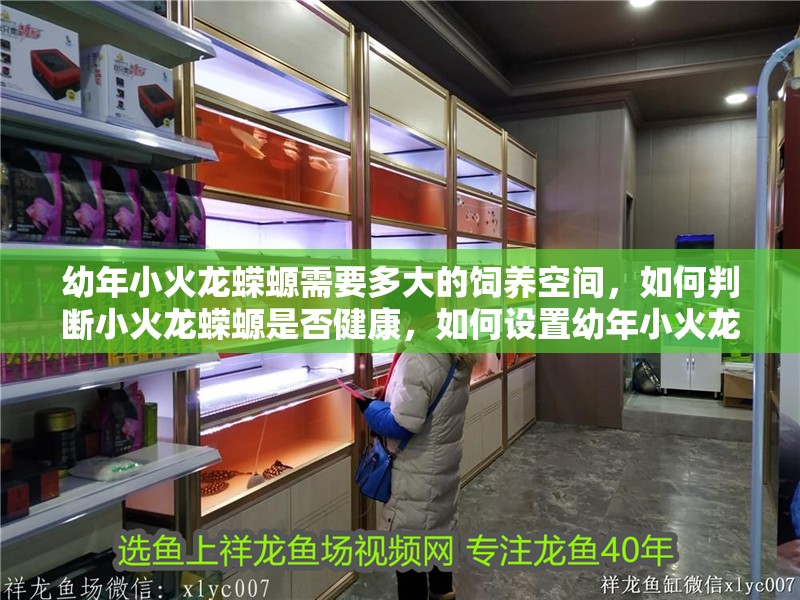 幼年小火龍蠑螈需要多大的飼養空間，如何判斷小火龍蠑螈是否健康，如何設置幼年小火龍蠑螈的飼養環境 幼年小火龍蠑螈需要多大的飼養空間，如何判斷小火龍蠑螈是否健康，如何設置幼年小火龍蠑螈的飼養環境 龍魚百科