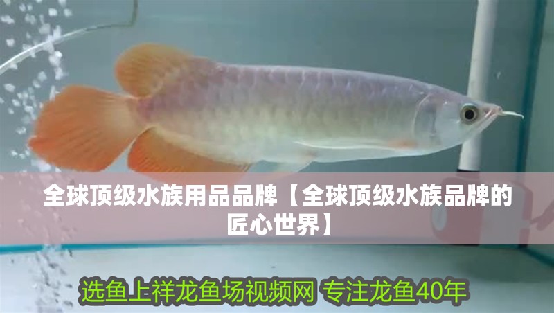 全球頂級水族用品品牌【全球頂級水族品牌的匠心世界】