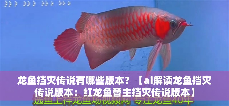 龍魚擋災傳說有哪些版本？【ai解讀龍魚擋災傳說版本：紅龍魚替主擋災傳說版本】