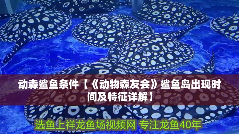 動森鯊魚條件【《動物森友會》鯊魚島出現時間及特征詳解】