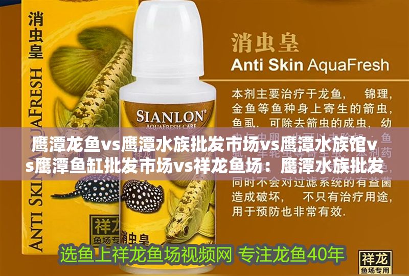 鷹潭龍魚vs鷹潭水族批發市場vs鷹潭水族館vs鷹潭魚缸批發市場vs祥龍魚場：鷹潭水族批發市場、魚缸批發市場和祥龍魚場的詳細信息