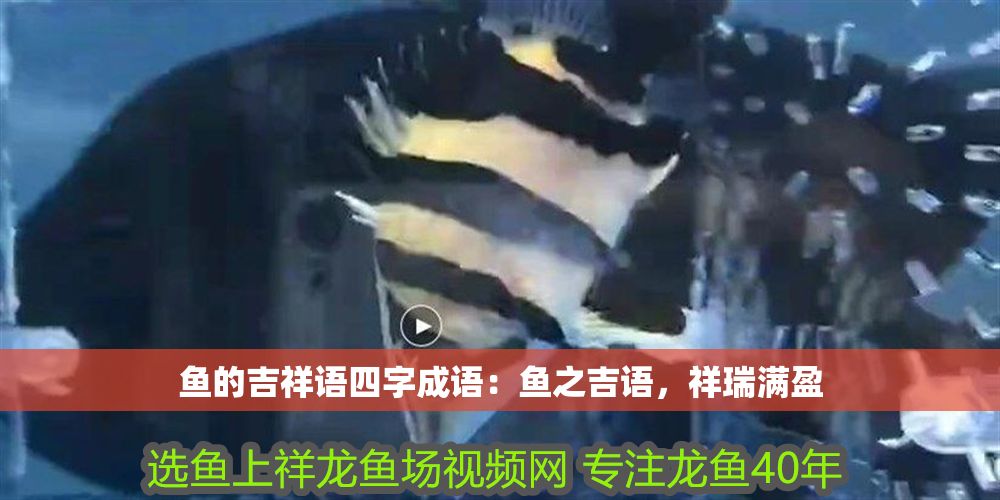魚的吉祥語四字成語：魚之吉語，祥瑞滿盈