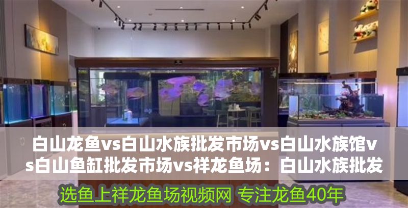 白山龍魚vs白山水族批發市場vs白山水族館vs白山魚缸批發市場vs祥龍魚場：白山水族批發市場