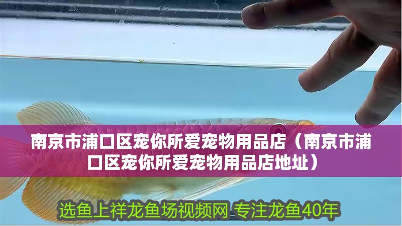 南京市浦口區寵你所愛寵物用品店（南京市浦口區寵你所愛寵物用品店地址）