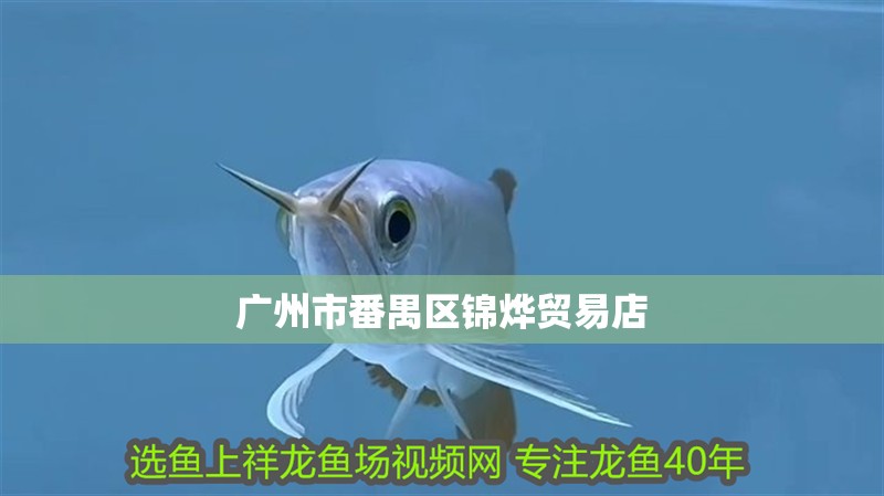 廣州市番禺區(qū)錦燁貿(mào)易店