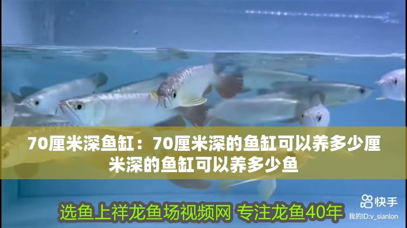 70厘米深魚缸：70厘米深的魚缸可以養多少厘米深的魚缸可以養多少魚 70厘米深魚缸：70厘米深的魚缸可以養多少厘米深的魚缸可以養多少魚 魚缸百科 第2張