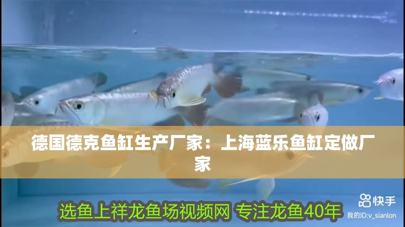 德國德克魚缸生產廠家：上海藍樂魚缸定做廠家