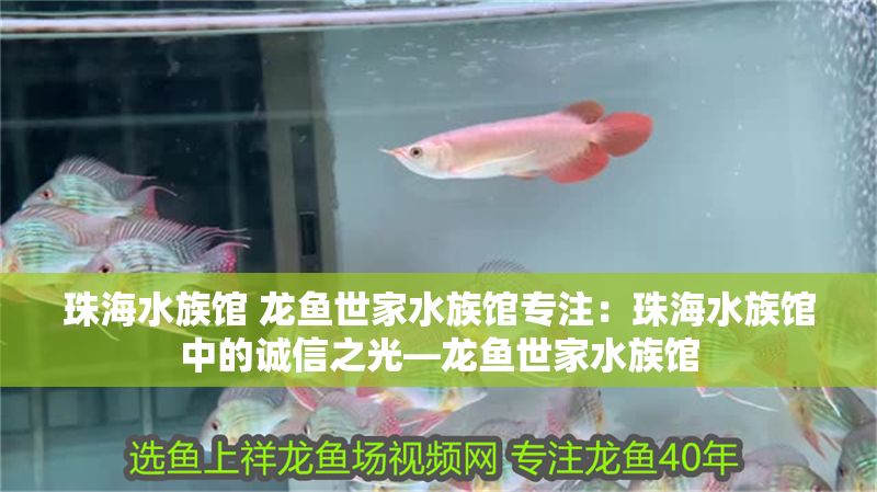 珠海水族館 龍魚世家水族館專注：珠海水族館中的誠信之光—龍魚世家水族館