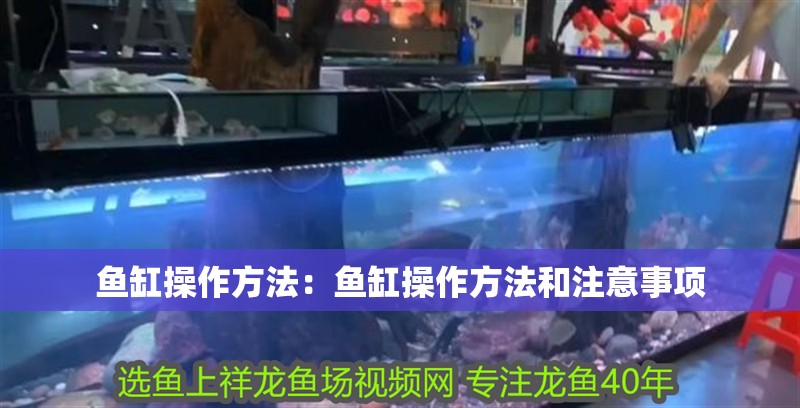 魚缸操作方法：魚缸操作方法和注意事項