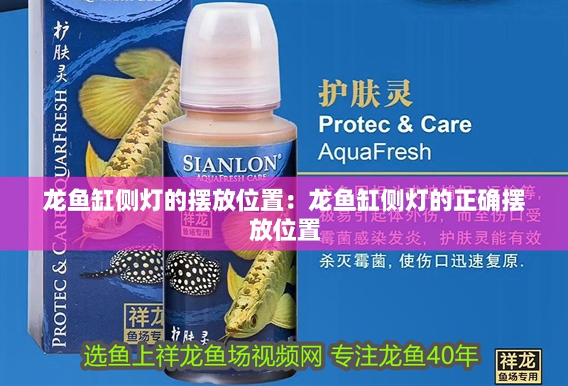 龍魚缸側(cè)燈的擺放位置：龍魚缸側(cè)燈的正確擺放位置