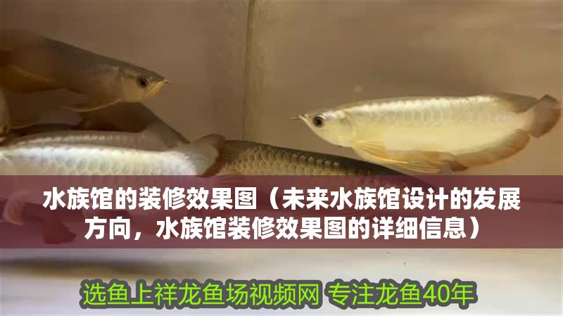 水族館的裝修效果圖（未來水族館設計的發(fā)展方向，水族館裝修效果圖的詳細信息）