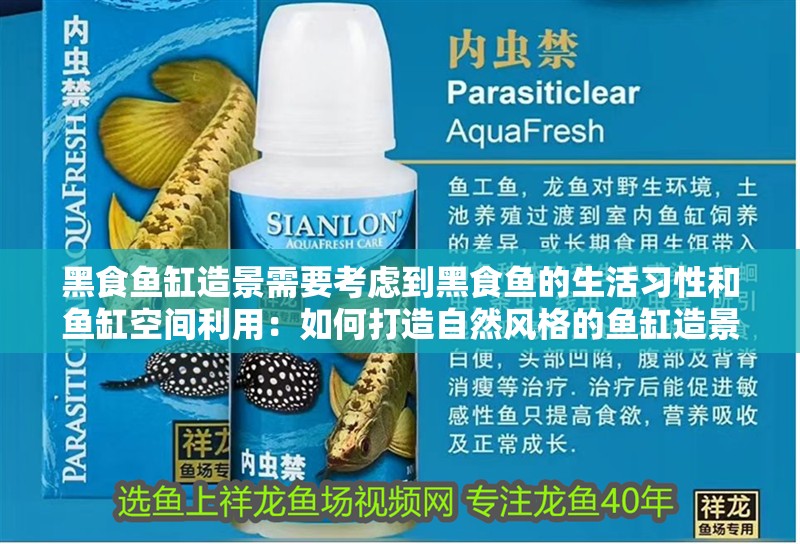 黑食魚缸造景需要考慮到黑食魚的生活習性和魚缸空間利用：如何打造自然風格的魚缸造景？