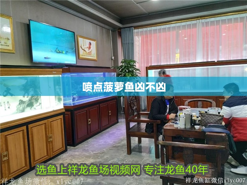 噴點菠蘿魚兇不兇