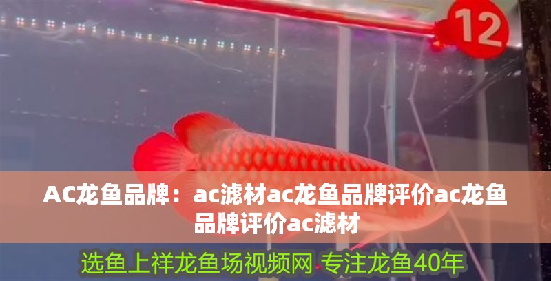 AC龍魚品牌：ac濾材ac龍魚品牌評價ac龍魚品牌評價ac濾材
