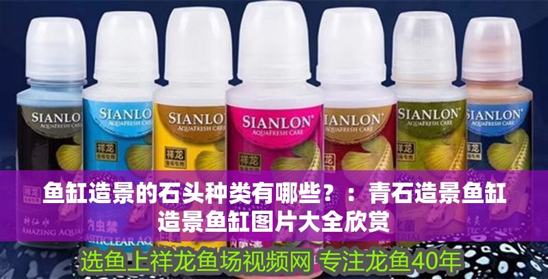 魚缸造景的石頭種類有哪些？：青石造景魚缸造景魚缸圖片大全欣賞