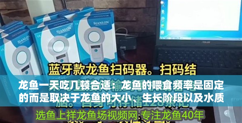 龍魚一天吃幾頓合適：龍魚的喂食頻率是固定的而是取決于龍魚的大小、生長階段以及水質環境等因素