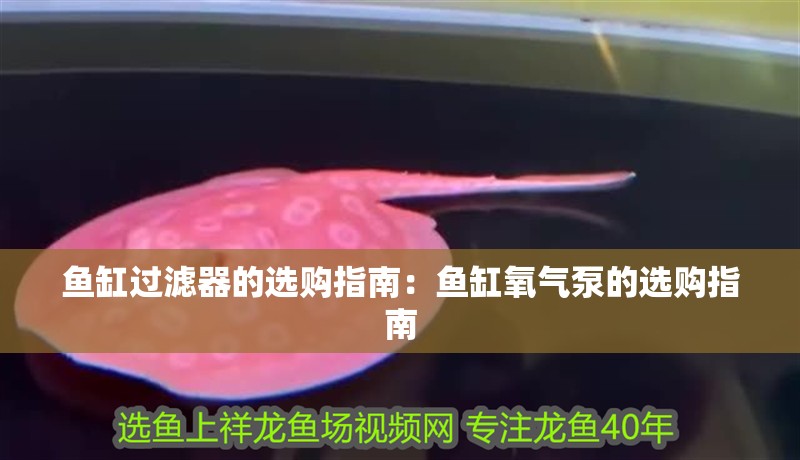 魚缸過濾器的選購指南：魚缸氧氣泵的選購指南