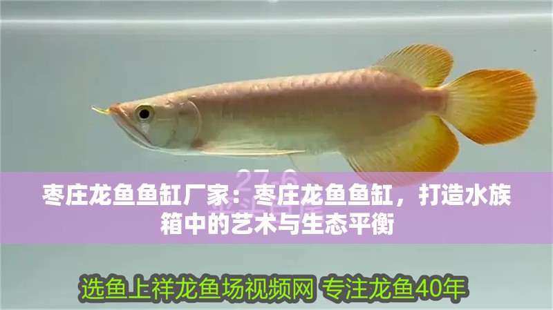 棗莊龍魚魚缸廠家：棗莊龍魚魚缸，打造水族箱中的藝術與生態平衡 棗莊龍魚魚缸廠家：棗莊龍魚魚缸，打造水族箱中的藝術與生態平衡 魚缸百科