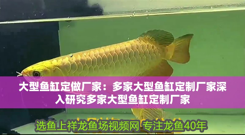 大型魚缸定做廠家：多家大型魚缸定制廠家深入研究多家大型魚缸定制廠家