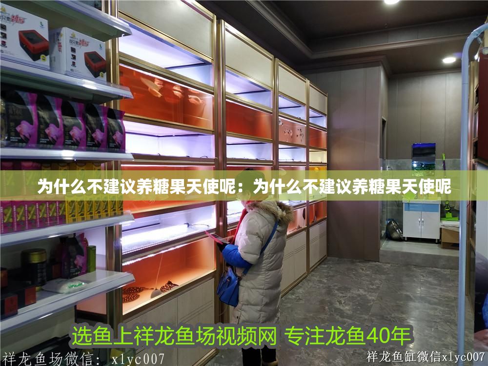 為什么不建議養(yǎng)糖果天使呢：為什么不建議養(yǎng)糖果天使呢