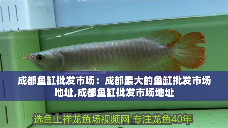 成都魚缸批發市場：成都最大的魚缸批發市場地址,成都魚缸批發市場地址