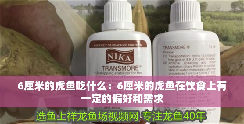 6厘米的虎魚吃什么：6厘米的虎魚在飲食上有一定的偏好和需求