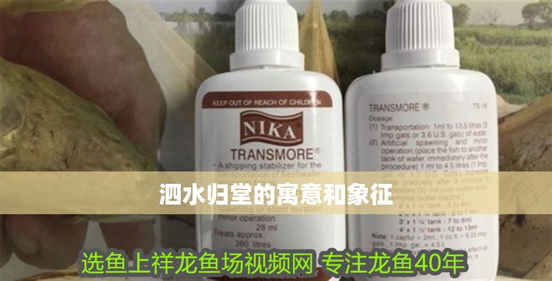 泗水歸堂的寓意和象征 泗水歸堂的寓意和象征 龍魚論壇