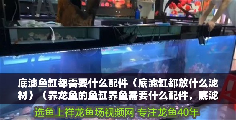 底濾魚缸都需要什么配件（底濾缸都放什么濾材）（養龍魚的魚缸養魚需要什么配件，底濾魚缸都需要什么配件）