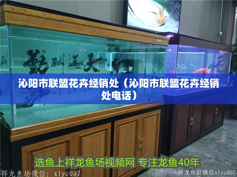 沁陽市聯(lián)盟花卉經(jīng)銷處（沁陽市聯(lián)盟花卉經(jīng)銷處電話）