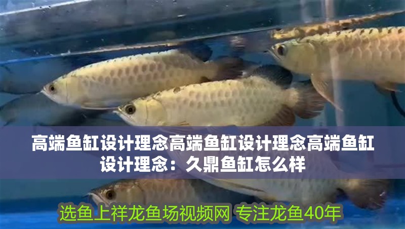 高端魚缸設計理念高端魚缸設計理念高端魚缸設計理念：久鼎魚缸怎么樣