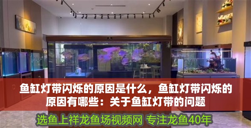 魚缸燈帶閃爍的原因是什么，魚缸燈帶閃爍的原因有哪些：關于魚缸燈帶的問題