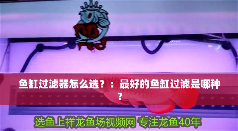 魚缸過濾器怎么選？：最好的魚缸過濾是哪種？