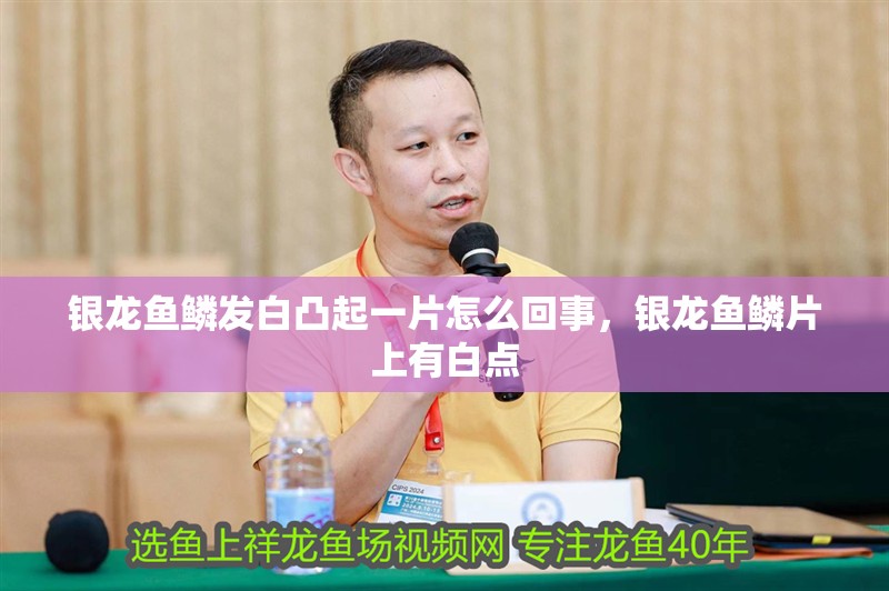 銀龍魚鱗發(fā)白凸起一片怎么回事，銀龍魚鱗片上有白點 銀龍魚鱗發(fā)白凸起一片怎么回事，銀龍魚鱗片上有白點 銀龍魚百科